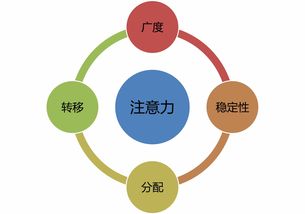 超級(jí)注意力強(qiáng)化班 數(shù)字文化創(chuàng)意內(nèi)容應(yīng)用服務(wù)專屬群訓(xùn)練第五期開啟